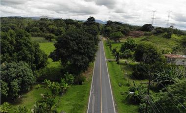 SE VENDE TERRENO EN ESPINO DE SAN CARLOS