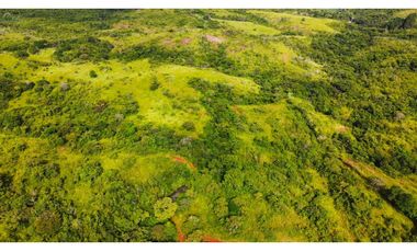 Venta de finca en las Minas Herrera