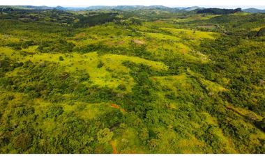 Venta de finca en las Minas Herrera