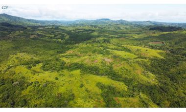 Venta de finca en las Minas Herrera