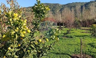 Casa con Parcela en Rauco: ¡Una Oportunidad Única!