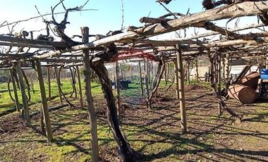 Casa con Parcela en Rauco: ¡Una Oportunidad Única!