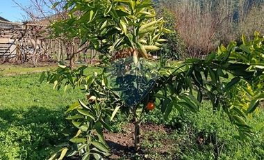 Casa con Parcela en Rauco: ¡Una Oportunidad Única!