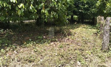 Terreno industrial en venta en Talismán, Tuxtla Chico, Chiapas