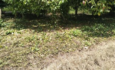 Terreno industrial en venta en Talismán, Tuxtla Chico, Chiapas