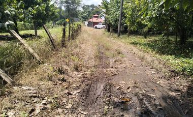 Terreno industrial en venta en Talismán, Tuxtla Chico, Chiapas