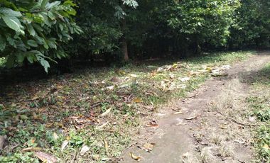 Terreno industrial en venta en Talismán, Tuxtla Chico, Chiapas