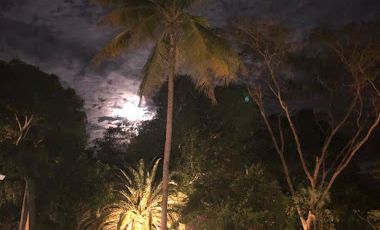 VENTA de CASAS en GIRARDOT