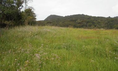 ARRIENDO de LOTES en BOJACA