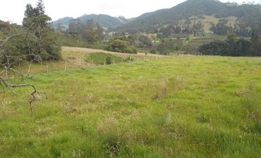 ARRIENDO de LOTES en BOJACA