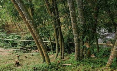FINCA EN VENTA SECTOR COMBIA PEREIRA