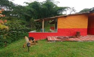 FINCA EN VENTA SECTOR COMBIA PEREIRA