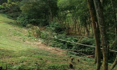 FINCA EN VENTA SECTOR COMBIA PEREIRA