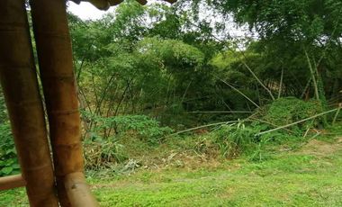 FINCA EN VENTA SECTOR COMBIA PEREIRA