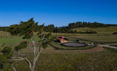 ESPECTACULARES  PARCELAS A 5 KM DE LLANQUIHUE