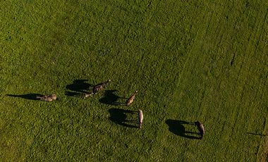ESPECTACULARES  PARCELAS A 5 KM DE LLANQUIHUE