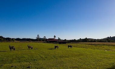 ESPECTACULARES  PARCELAS A 5 KM DE LLANQUIHUE
