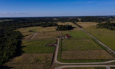 ESPECTACULARES  PARCELAS A 5 KM DE LLANQUIHUE