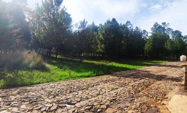 Terrenos en venta en Boskania Atemajac de Brizuela