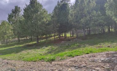 Terrenos en venta en Boskania Atemajac de Brizuela