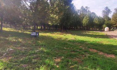 Terrenos en venta en Boskania Atemajac de Brizuela
