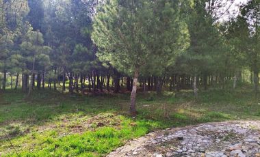 Terrenos en venta en Boskania Atemajac de Brizuela