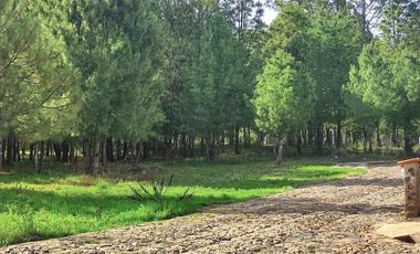 Terrenos en venta en Boskania Atemajac de Brizuela