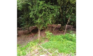 Lote en Parcelación - San jerónimo