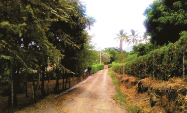 Lote en Parcelación - San jerónimo