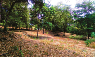 Lote en Parcelación - San jerónimo