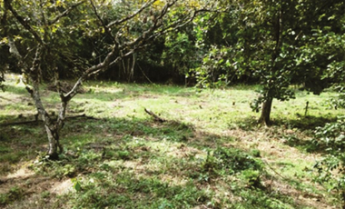 Lote en Parcelación - San jerónimo