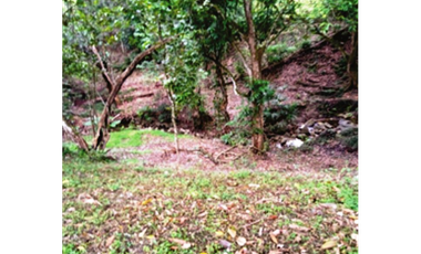 Lote en Parcelación - San jerónimo