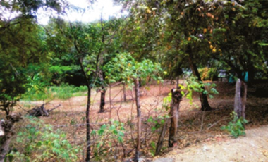 Lote en Parcelación - San jerónimo