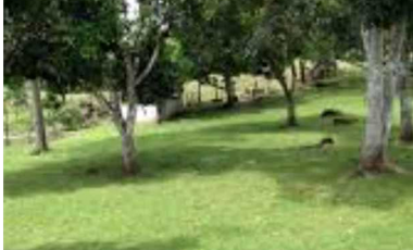 VENTA DE FINCA EN SANTA RITA, HERMOSA Y VISTAS INIGUALABLES, REMATE