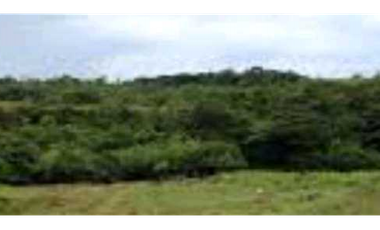 VENTA DE FINCA EN SANTA RITA, HERMOSA Y VISTAS INIGUALABLES, REMATE