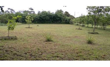 VENTA DE FINCA EN SANTA RITA, HERMOSA Y VISTAS INIGUALABLES, REMATE