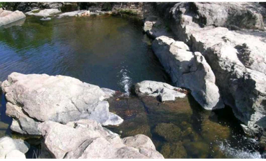 VENTA DE FINCA EN SANTA RITA, HERMOSA Y VISTAS INIGUALABLES, REMATE