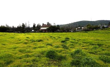 Sitio en Venta en Quebrada Lo Hidalgo - VILLA ALEMANA