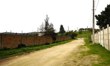 Sitio en Venta en Quebrada Lo Hidalgo - VILLA ALEMANA