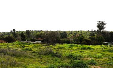 Sitio en Venta en Quebrada Lo Hidalgo - VILLA ALEMANA