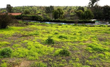 Sitio en Venta en Quebrada Lo Hidalgo - VILLA ALEMANA