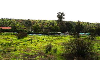 Sitio en Venta en Quebrada Lo Hidalgo - VILLA ALEMANA