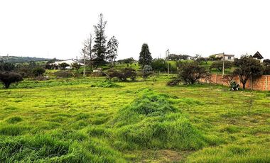 Sitio en Venta en Quebrada Lo Hidalgo - VILLA ALEMANA