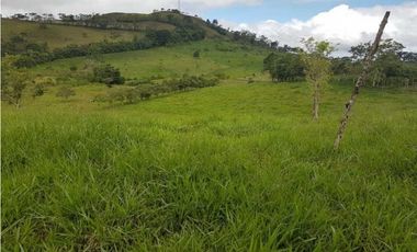 VENDO FINCA DE 20 HECTAREAS + SANTA CLARA