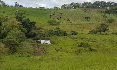VENDO FINCA DE 20 HECTAREAS + SANTA CLARA