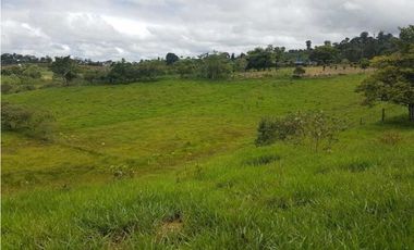 VENDO FINCA DE 20 HECTAREAS + SANTA CLARA