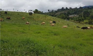 VENDO FINCA DE 20 HECTAREAS + SANTA CLARA