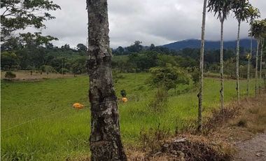 VENDO FINCA DE 20 HECTAREAS + SANTA CLARA