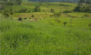 VENDO FINCA DE 20 HECTAREAS + SANTA CLARA
