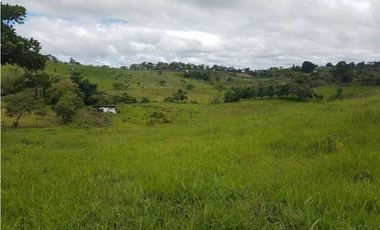 VENDO FINCA DE 20 HECTAREAS + SANTA CLARA
